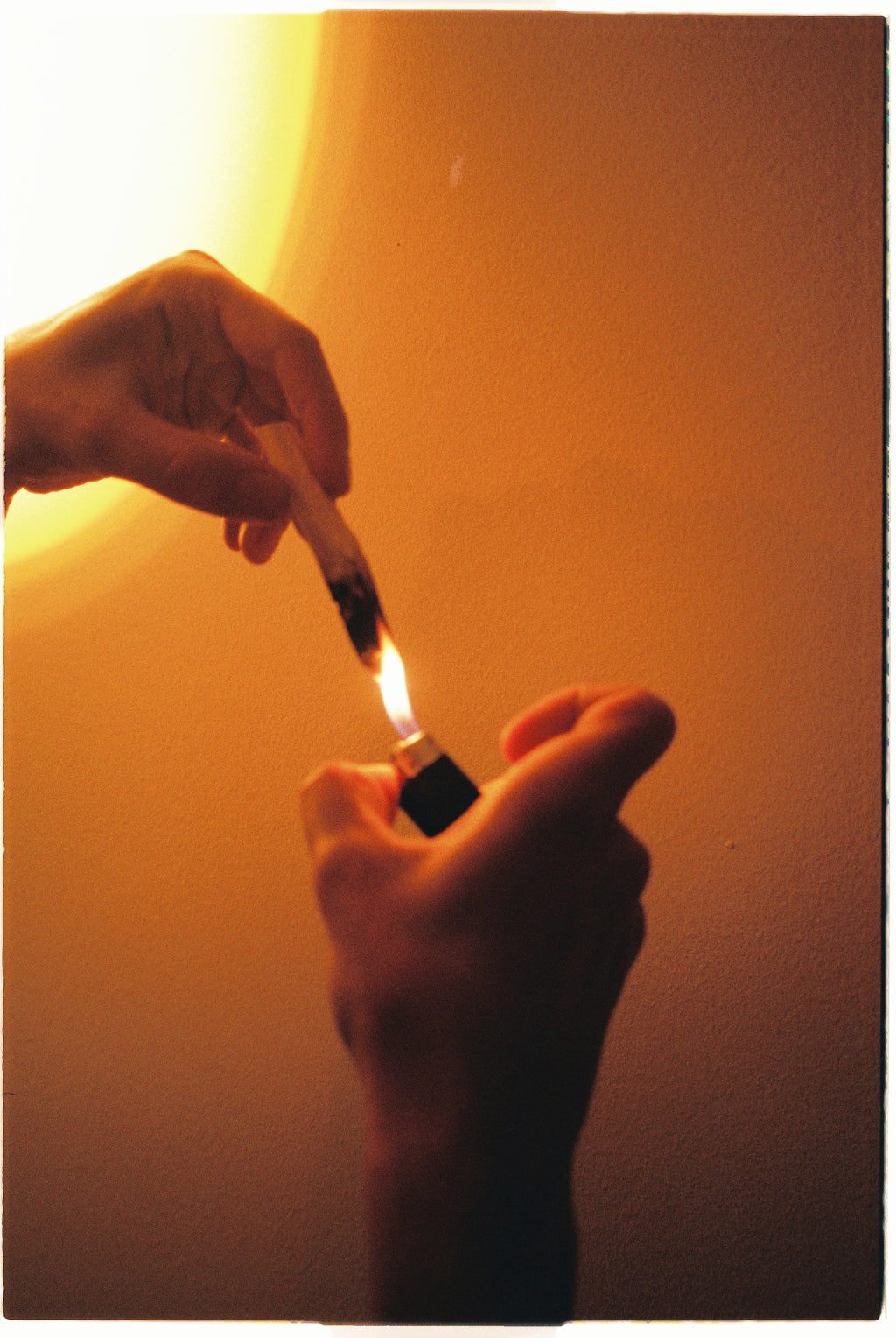 So.Slow Palo Santo