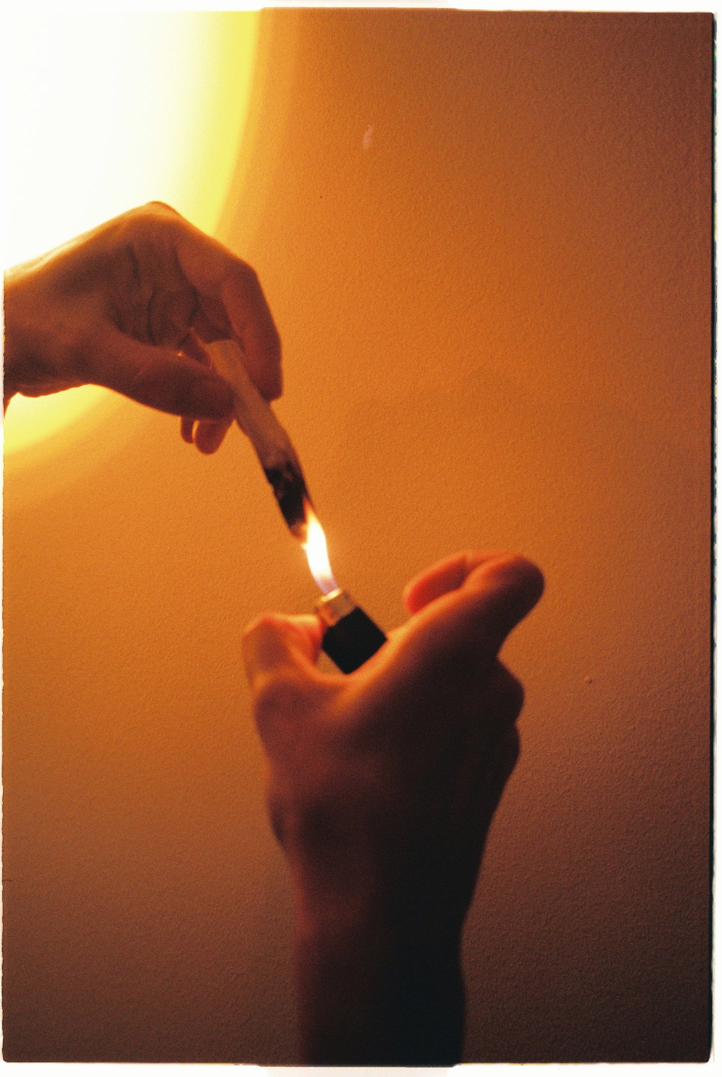 So.Slow Palo Santo