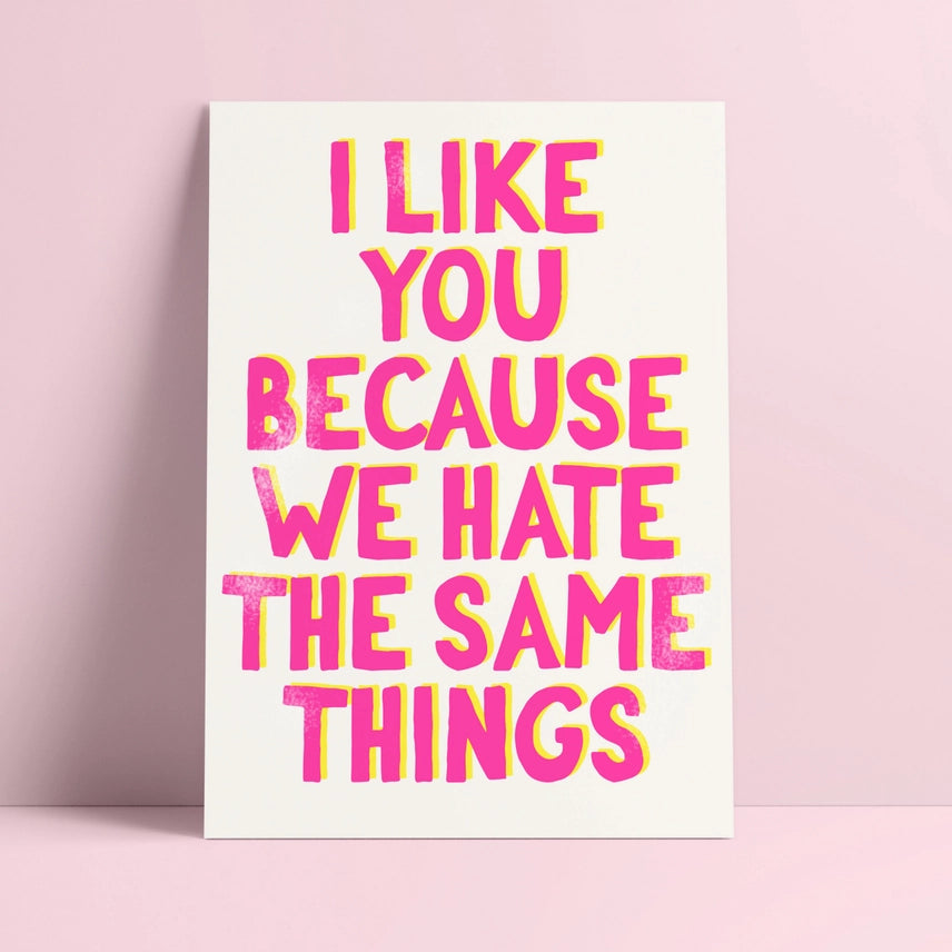 Pohlednice I like you because we hate the same things