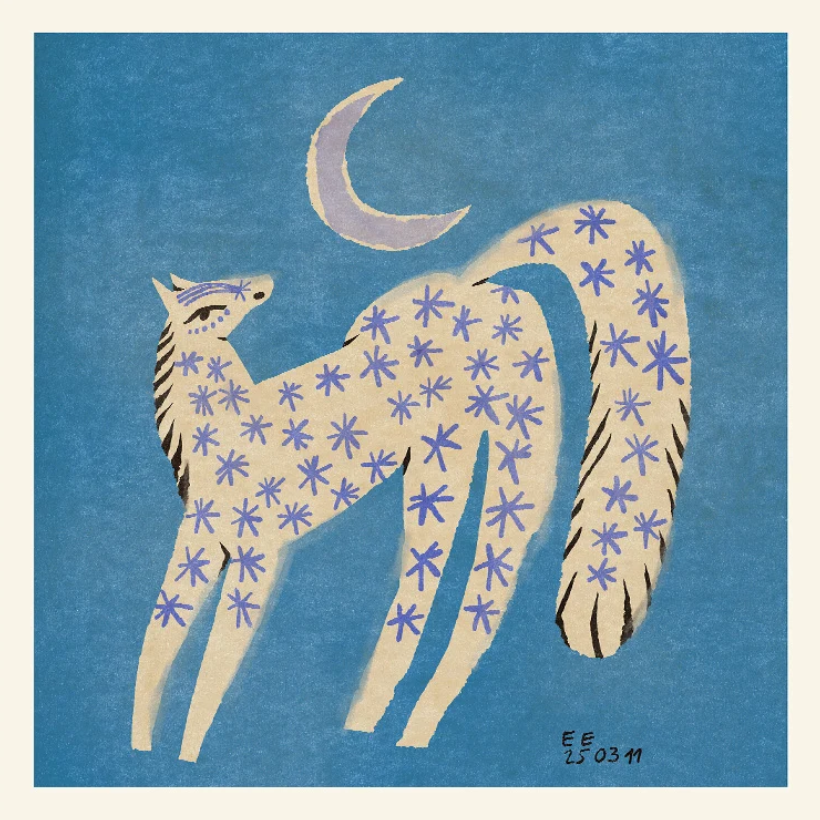 Print Star Horse – Enikő Eged