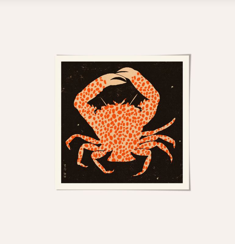 Print Spotted Calico Crab - Enikő Eged