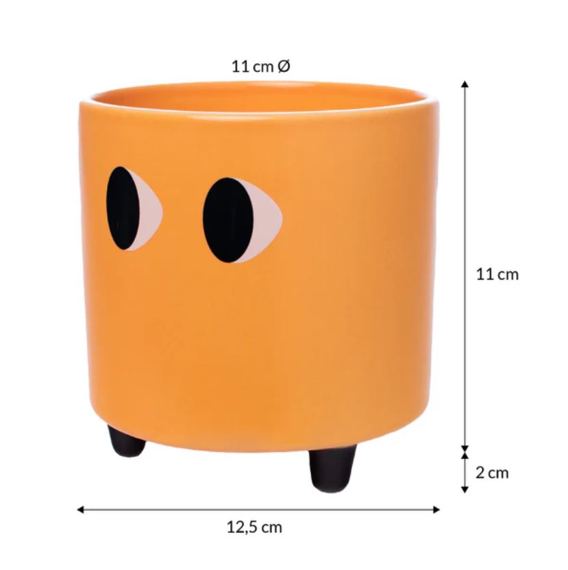 Oranžový květináč s očima