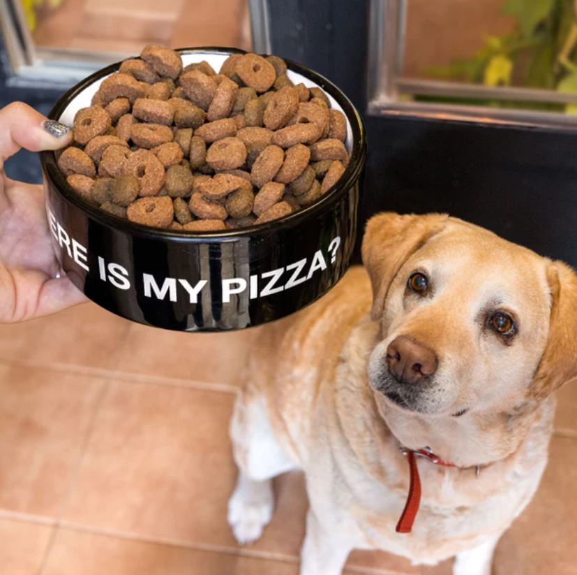 Miska pro psy Where is my pizza?
